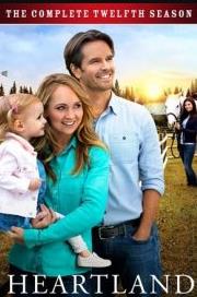 心灵之地第十二季(全集)