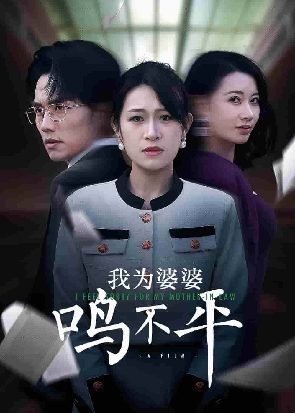 我为婆婆鸣不平(全集)