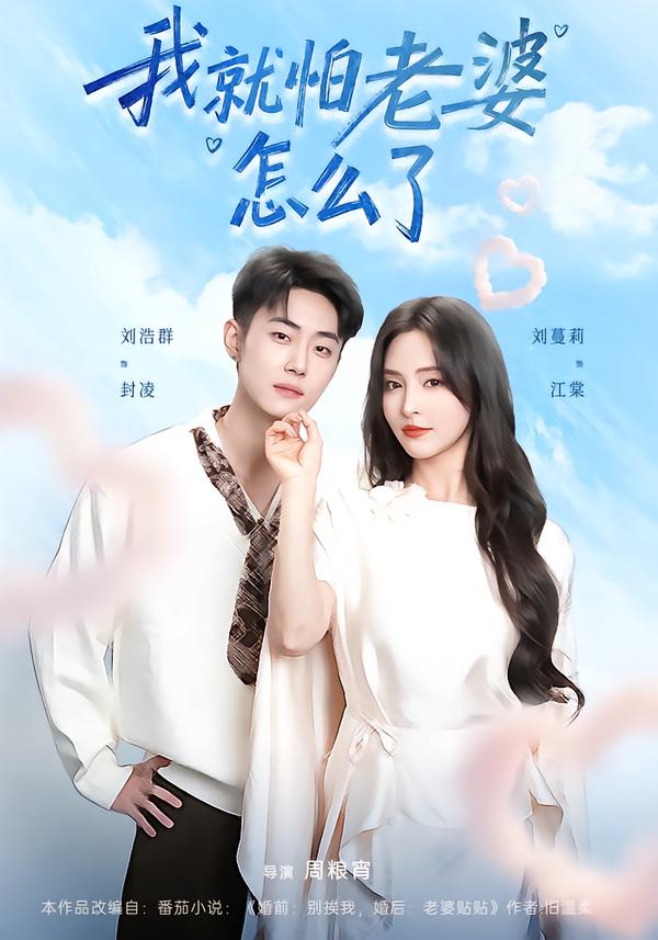 我就怕老婆怎么了(全集)